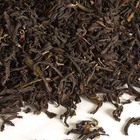 Steinthal Estate SFTGFOP1 Second Flush (DJ-38) Organic from Upton Tea Imports