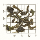 Snowview Estate FTGFOP1 In-between (DJ-13) from Upton Tea Imports