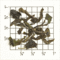 Snowview Estate FTGFOP1 In-between (DJ-13) from Upton Tea Imports