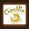 Camellia Iced Tea from Ronnoco