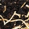 Coconut Vanilla Black from Chado