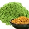 Bee Pollen Matcha from Red Leaf Tea