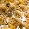 Organic Chamomile from Premium Steap