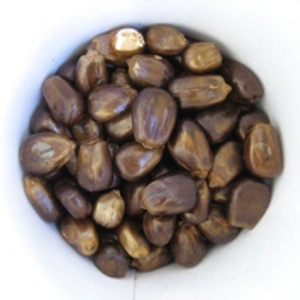 Oksusu Cha (Corn Tea) from Puripan