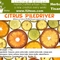 Citrus PILEDRIVER from 52teas
