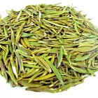 Meng Ding Huang Ya-Mt. Meng Yellow Sprout-Nonpareil from ESGREEN