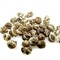 Long Zhu-Jasmine Dragon Pearl-Premium from ESGREEN