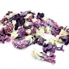 Violet Flower from ESGREEN