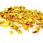 Trollius-Gold Chain Lotus from ESGREEN