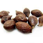 Sterculia-Boat-fruited Scaphium Seed from ESGREEN