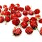 Red Globe Amaranth from ESGREEN