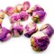 Peony from ESGREEN