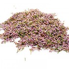 Heather Flower from ESGREEN