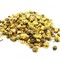 Chrysanthemum Buds from ESGREEN