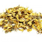 Evening Primrose from ESGREEN