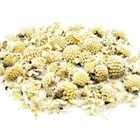 Edelweiss from ESGREEN