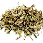 Dandelion from ESGREEN