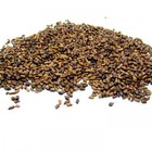 Cassia Seed from ESGREEN