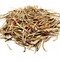 Aloe Vera-Lily of the Desert from ESGREEN