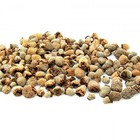 Dried Raspberry(Blaeberry) from ESGREEN