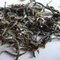 1500m (4500 ft.) Frosty Spring Yunnan Roast Green, First Day Harvest (2012) from Life In Teacup