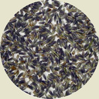 Lavender Flowers from Simpson & Vail