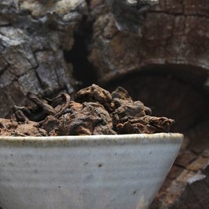 Yanxin's Reserve '04 Shu Nuggets from Verdant Tea