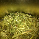 Lemongrass from Mountain Rose Herbs