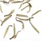 Jasmine Silver Needle White Tea (Mo Li Yin Zhen) from Teavivre