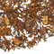 Rooibos Berry from Adagio Teas