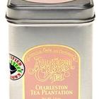 American Classic Plantation Peach Loose Tea from Charleston Tea Plantation