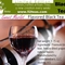 Sweet Merlot Black Tea from 52teas