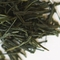 Sencha Kaori Hokuen from Camellia Sinensis