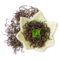 Organic Keemun Mao Feng from The Tea Forest