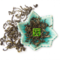 Organic Chun Mee from The Tea Forest