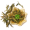 Organic Longjing (Dragon Well) from The Tea Forest