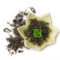 Organic Yun Wu (Cloud and Mist) from The Tea Forest