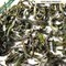 DJ Darjeeling Tea Mim First Flush 2012 ( Clonal ) from Darjeeling Tea Boutique