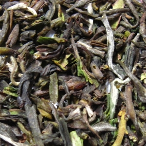 DJ Darjeeling Tea Mim First Flush 2012 (FTGFOP1) from Darjeeling Tea Boutique