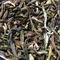 DJ Darjeeling Tea Mim First Flush 2012 (FTGFOP1) from Darjeeling Tea Boutique