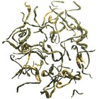 Xiang Xun Dan Lu from Tao Tea Leaf