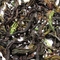 DJ Darjeeling Tea Mim  HR First Flush 2012 FTGFOP1 from Darjeeling Tea Boutique