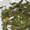 Darjeeling Tea Avongrove 2012 White from Darjeeling Tea Boutique