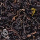 Darjeeling from Coffee Bean Direct