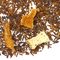 Rooibos Earl Grey from Adagio Teas