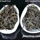 2011 Spring Nan Nuo Mountain "Ban Po Lao Zhai" Old Tree & Small Tree Tasting Pack from jkteashop
