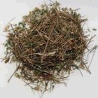 Chanca Piedra from Sunfood