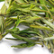 Arya Pearl Darjeeling First Flush 2012 from Thunderbolt Tea