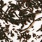 Raspberry from Murchie's Tea & Coffee