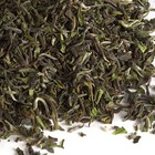 TD 11: Tindharia Estate 1st Fl. Darjeeling FTGFOP1 from Upton Tea Imports